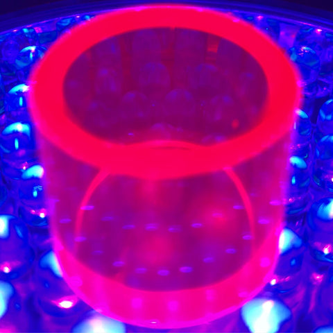 Constant Gem Elegance Ruby for 24-25mm Quartz