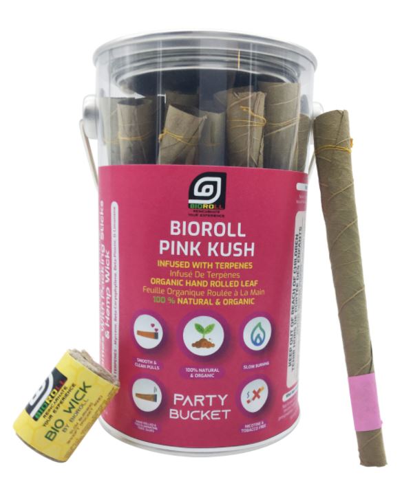 Bioroll King Filtered Party Bucket (25 cones)